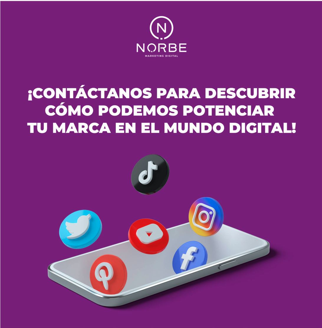 Social SEO en Instagram y TikTok